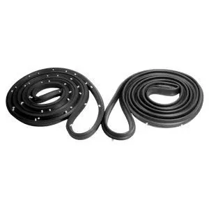 1961-1964 Buick|Chevrolet|Oldsmobile|Pontiac 2DR Sedan Door Molding Seal w/clips