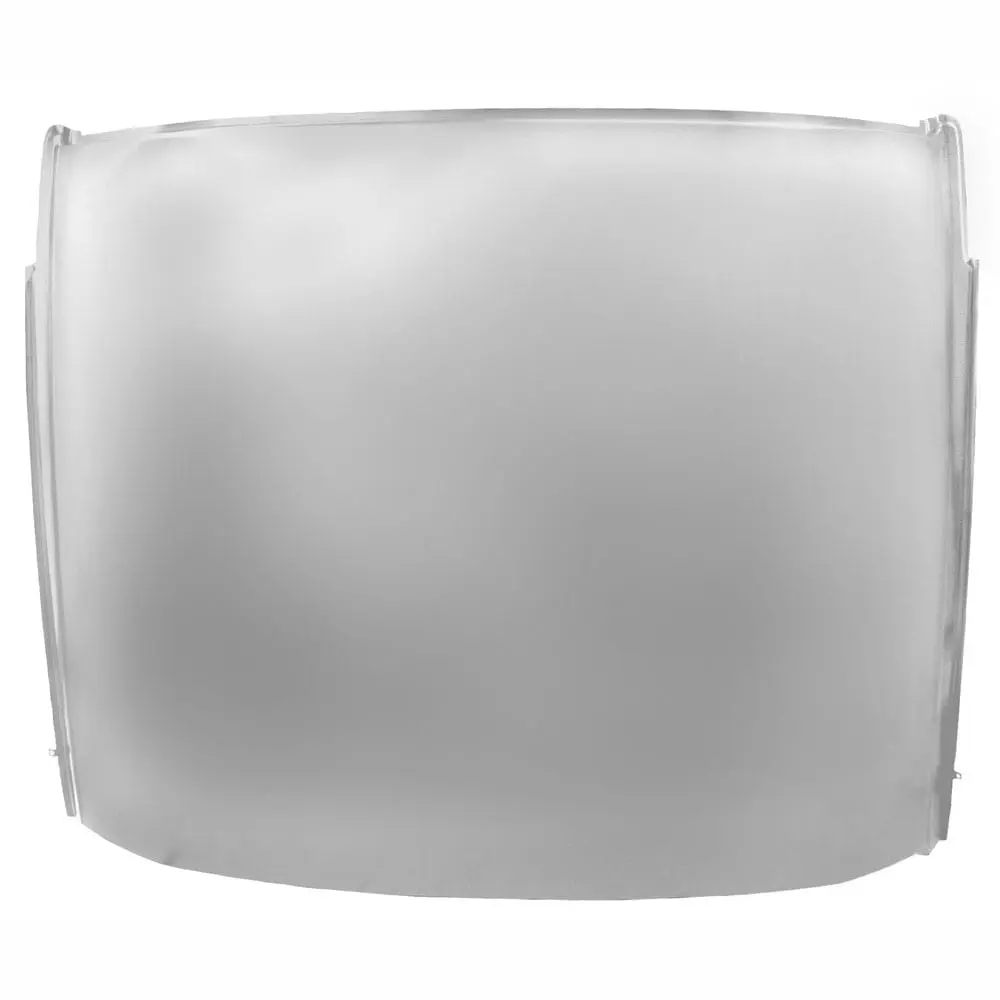 1965-1966 Ford Mustang Roof Panel Fastback