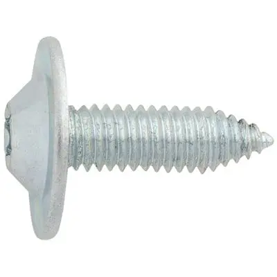 Body Bolt-Torx Washer Head