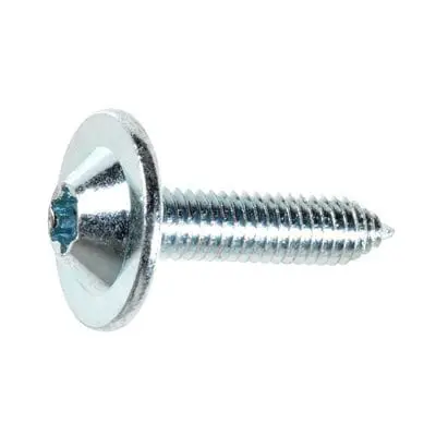 Body Bolt-Torx Washer Head