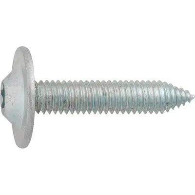 Body Bolt-Torx Washer Head