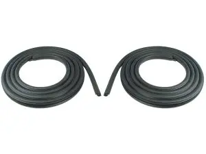 1998-2002 Dodge Pickup (Quad Cab Only) Door Seal Pair-DWP311098