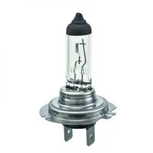 H7 halogen headlight bulb