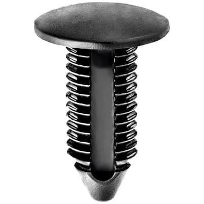 Push Nail 10mm Hole x 28mm Long-22mm Head Black-WF41750-P