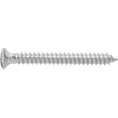 Screw Torx Oval Chrome Pltd 4.2mm x 40mm - PK 25-WF67024