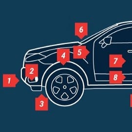 Body Parts - back (1-8) Diagram