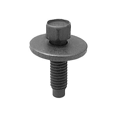 Body Bolt