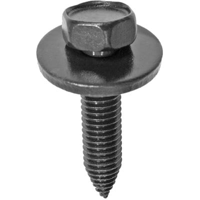 Body Bolt